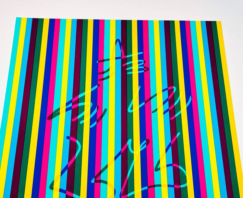“Rainbow Gus” 8 colors screenprint